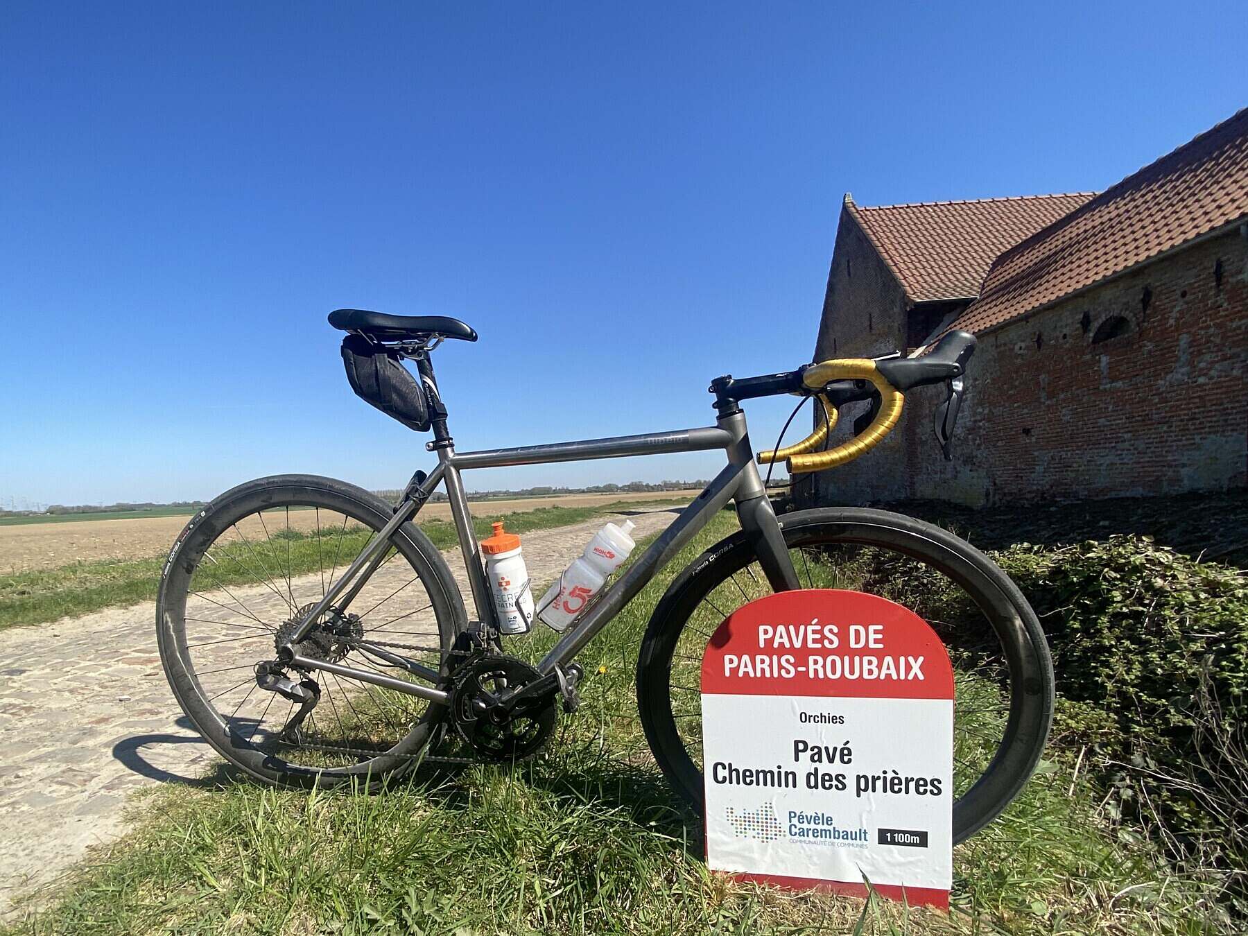 LANDRACE Tupelo Pave