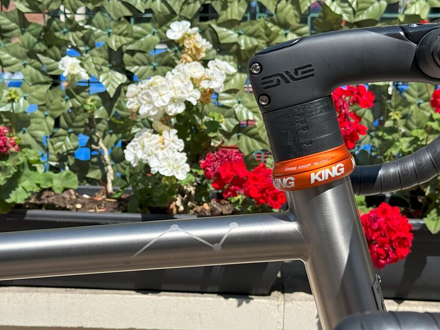 Landrace Seven Tupelo colab sm 3