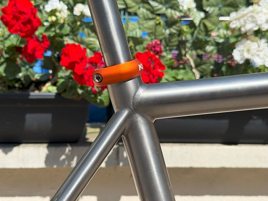 Landrace Seven Tupelo colab 7