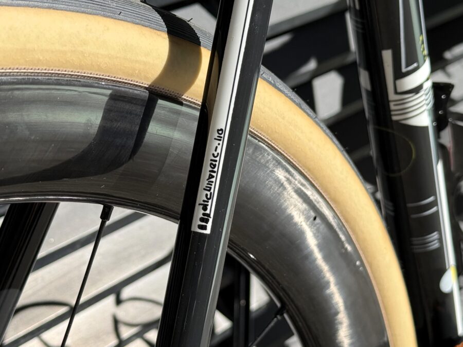 Steven pegoretti6