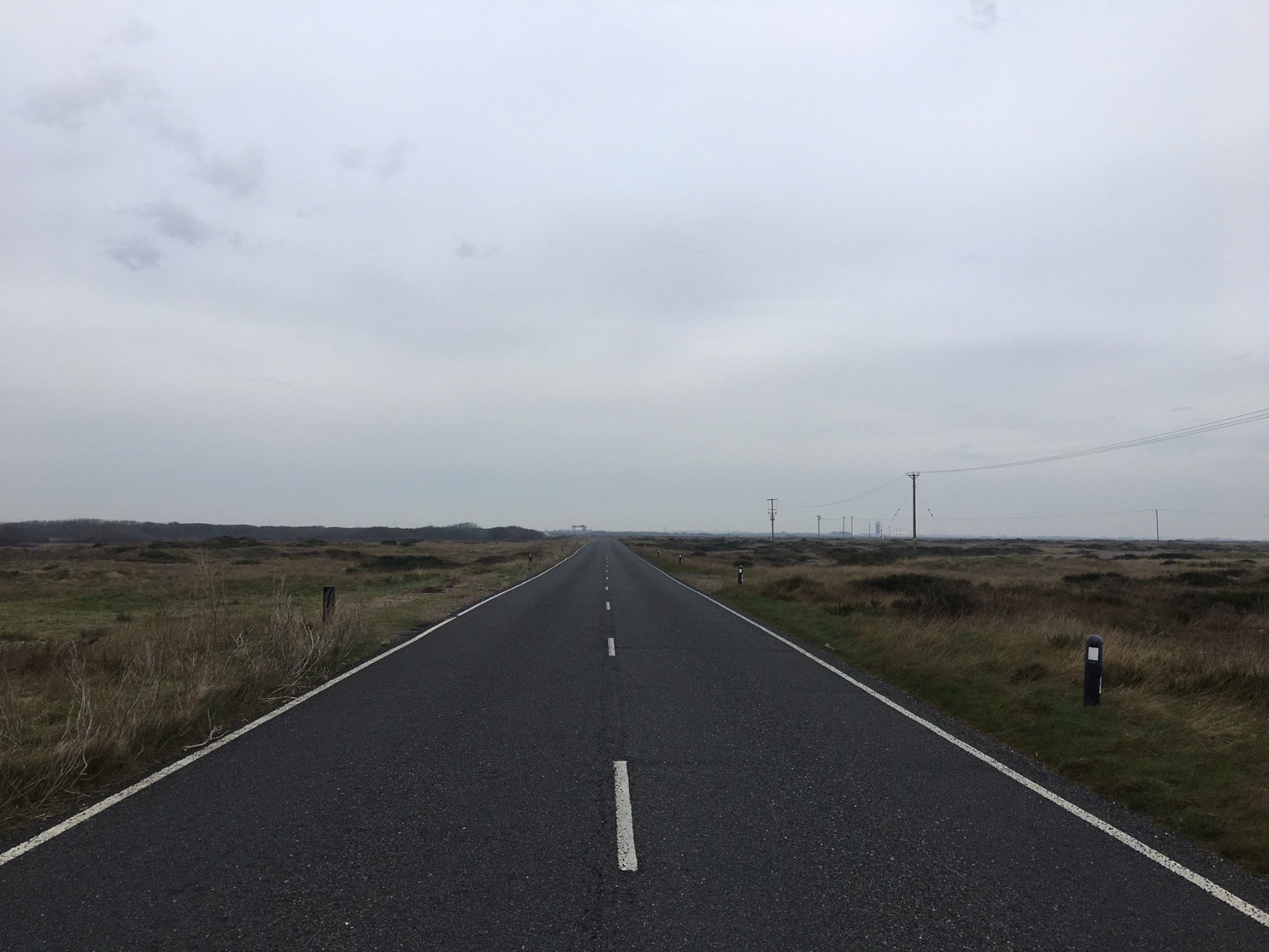 Roaddungeness